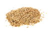 Malt