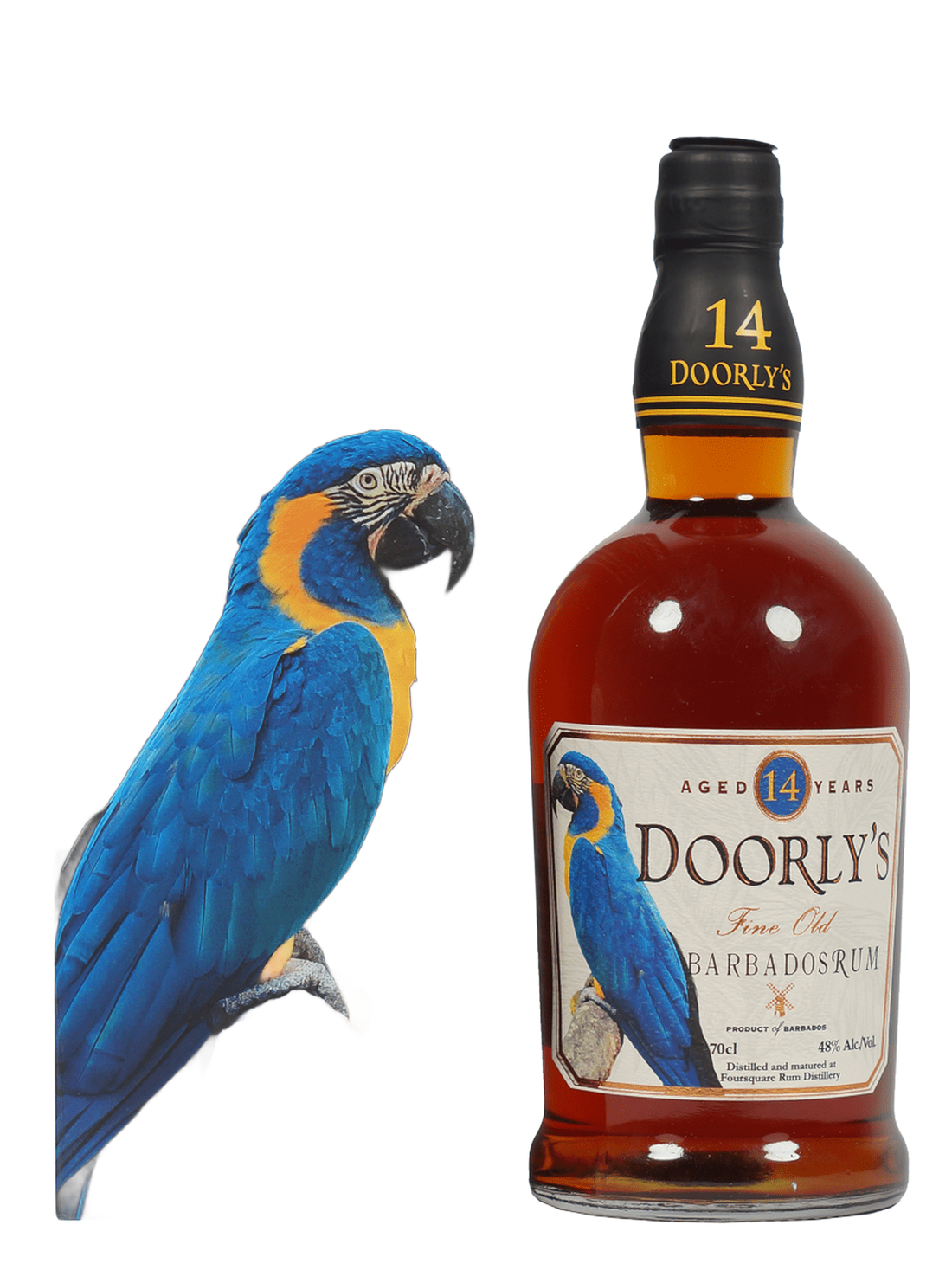 this is a product image