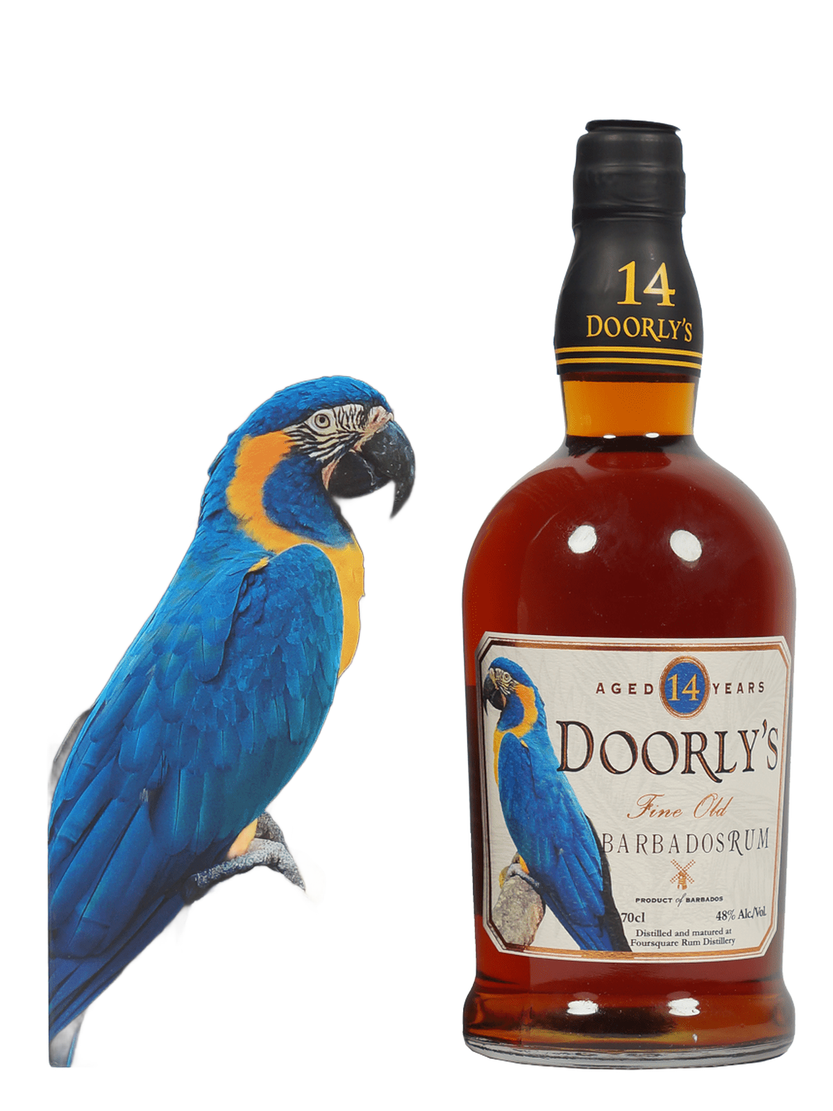 this is a product image